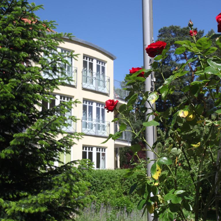 Ferienwohnung Seestern Bad Saarow Zewnętrze zdjęcie
